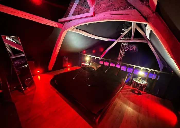 Loveroom De Luxe - Thème 50 Nuances De Grey Maison Privative Insolite *