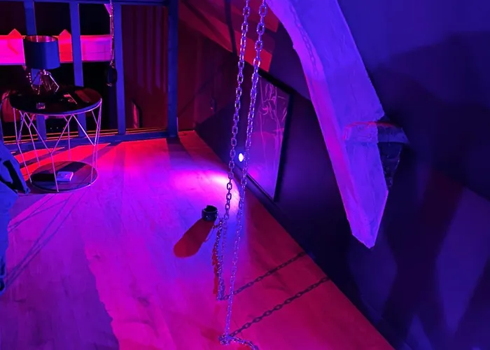 Loveroom De Luxe - Thème 50 Nuances De Grey Maison Privative Insolite